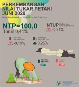 Nilai Tukar Petani Jawa Barat Juni 2020 Sebesar 100,00 Atau Turun 0,44 Persen (2018=100)